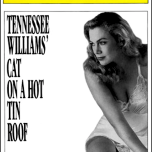 Cat-On-A-Hot-Tin-Roof